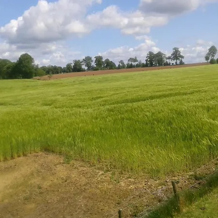 Semesterbostad La Petite Maison Dans La Prairie *